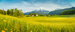 Idyllic summer landscape in the Alps with blooming meadows at sunset
