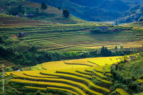 Fotografie, Obraz Beautiful mountain range with rice terraced view point at Mu Cang Chai district,