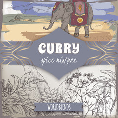 Wall Mural - Curry spice mixture template with curry tree, turmeric, coriander, chili pepper and Indian elephant color sketch.