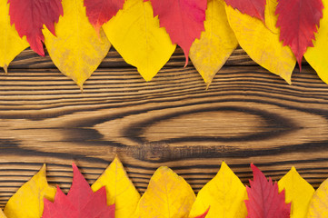 Two row of fallen autumn yellow and red leaves on old worn rustic brown wooden table with copy space