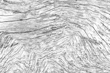 Fototapete - Wood grain texture High Resolution Background for design backdrop