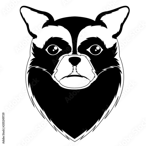 Silhouette Of A Long Hair Chihuahua Avatar Buy This Stock Vector