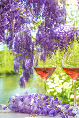 Wall Mural - Sping day near the river/two glasses of pink wine and blooming violet wisteria near the river, close up, vertical picture