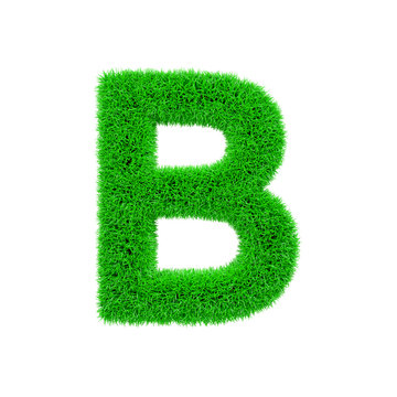 Alphabet letter B uppercase. Grassy font made of fresh green grass. 3D render isolated on white background.