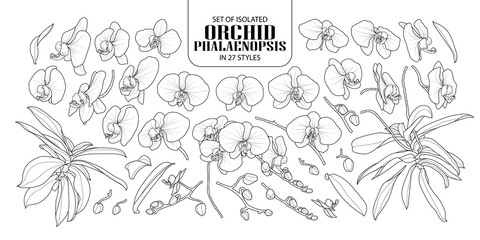 Set of isolated orchid in 27 styles.