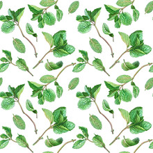 Mint Branch And Leaves Pencil Drawing Seamless Pattern