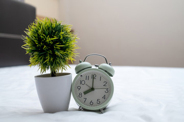 Wall Mural - Vintage alarm clock and little decoration tree in white vase on the bed in bedroom at home, wake up or bed time concept.