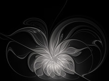 Abstract Fractal White Flower On A Black Background