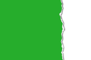Wall Mural - Torn a half sheet of green paper from the up to the down on white background. Vector template paper design.