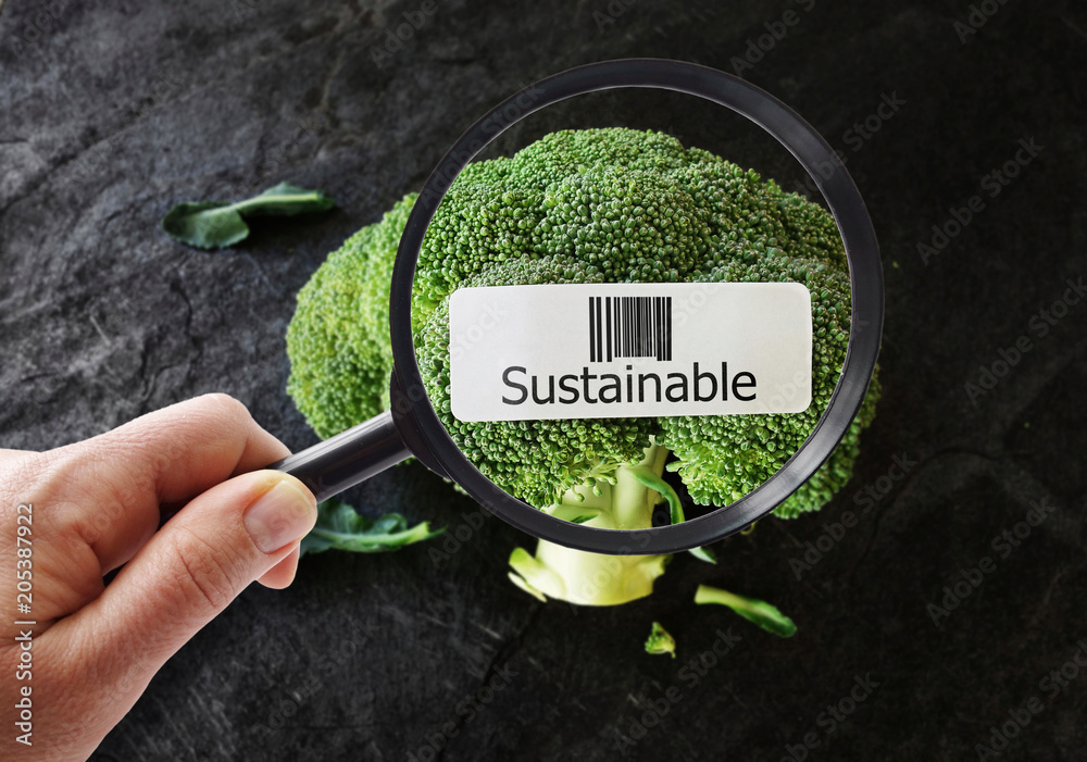 Sustainable food concept - obrazy, fototapety, plakaty 