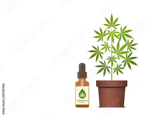 Download Marijuana Plant And Dropper With Cbd Oil Cannabis Oil Medical Marijuana Cbd Oil Hemp Products Bottle Mock Up Packaging Product Label And Logo Graphic Template Vector Illustration With Copy Space Stock Vector