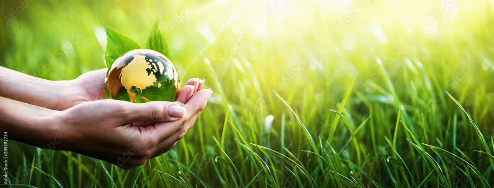 Green Planet in Your Hands. Environment Concept - obrazy, fototapety, plakaty 