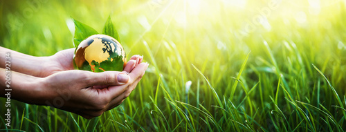 Fotomural Green Planet in Your Hands. Environment Concept