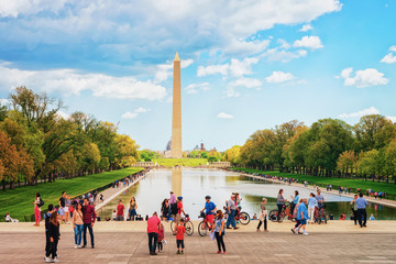 Wall Mural - Washington monument and pool in National Mall in Washington DC