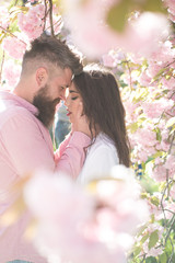 Wall Mural - Couple in love hiding behind cherry blossom tree, side view. Romantic date in idyllic garden, spring concept. Bearded man caressing pretty girl with red lips over blurred pink floral surroundings