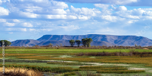 Fotografie, Obraz The beautiful marsh in Alamosa National Wildlife Refuge at the edge of the Sangr