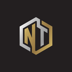 Initial letter NT, looping line, hexagon shape logo, silver gold color on black background