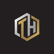 Initial letter TH, looping line, hexagon shape logo, silver gold color on black background