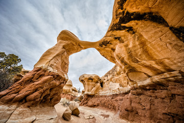 Wall Mural - Devil's Garden Utah