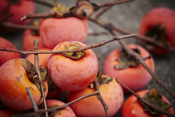 Canvas Print - Ripe orange persimmon 