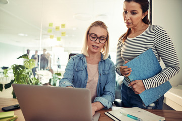 Wall Mural - Two young businesswomen talking over a laptop in an office