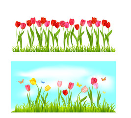 Poster - Spring nature banners