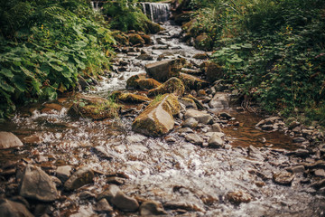 beautiful waterfall on river in sunny woods. river flowing in forest and mountains. environmental protection. fresh beauty, nature wallpaper