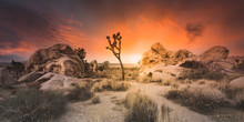 Desert Sunset - Joshua Tree Boulders - Wide Angle Panoramic
