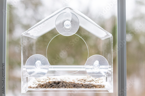 One Empty Small Glass Plastic Bird Feeder With Suction Cups