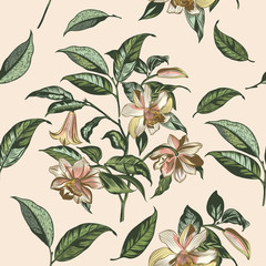 Fototapete - Illustration with vector hand drawn flowers in vintage Victorian style