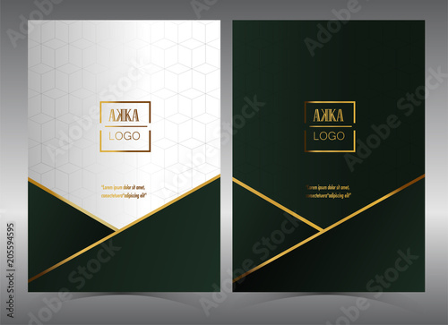 Fotografía Luxury Premium menu design,Product cover Package, Bag,Financial Annual report fo