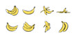 Set of banana hand drawn icon illustration vector Sketch colored collections