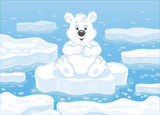 Polar bear sitting on a drifting ice floe in an arctic sea, vector illustration in a cartoon style