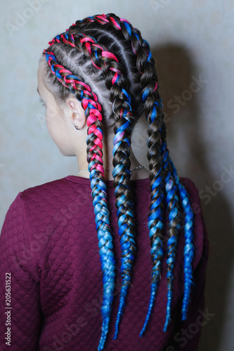 Little Girl With Hairdo Out Of Colored Hair Braids On White Background Close Up Hairstyle Pink And Blue Hair Kaufen Sie Dieses Foto Und Finden Sie Ahnliche Bilder Auf Adobe Stock