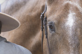 Fototapeta  - Ojo de un caballo español en un concurso morfologico