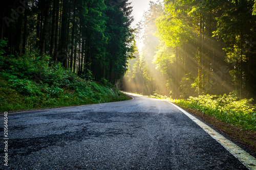 Sonnenstrahlen im morgentlichen Wald auf einer Straße welche durch den Bayeri...