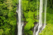 Sekumpul Waterfall In Bali Surrounded By Beautiful Tropical Forest