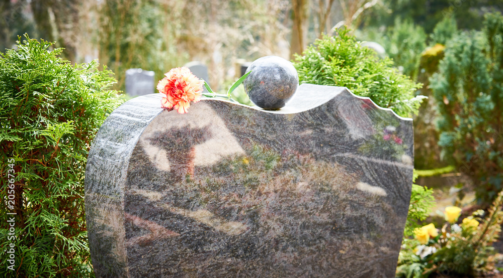 Grief at cemetery / Red carnation on gravestone / Tombstone - obrazy, fototapety, plakaty 