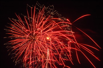 Wall Mural - fireworks going off at night in the summer time