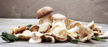 Variety Of Raw Mushrooms On Grey Table. Oyster And Other Fresh Mushrooms