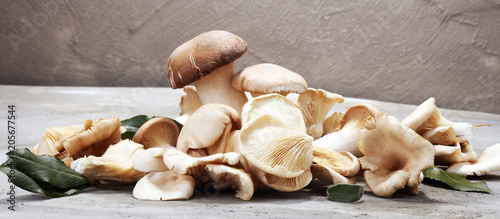 Fotomural variety of raw mushrooms on grey table