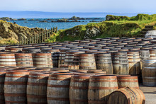Scotch Whisky Barrels Lined Up By The Seaside On The Island Of Islay, Scotland, UK