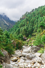 Wall Mural - Nature of the Himalayas