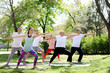 © New Africa - Group of people practicing yoga in park on sunny day