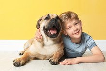 Cute Little Child With His Dog Near Color Wall