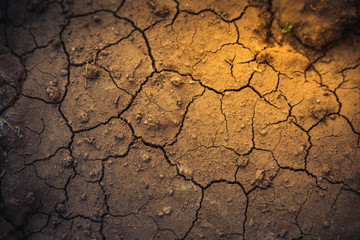 Cracks in the dry earth, illuminated by a beam of light. Soft selective focus.