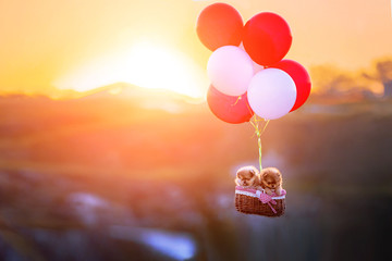 Lovely puppies fly in a hot air balloon.