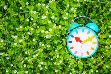 Poster - Alarm clock among flowers, outdoors. Time change concept