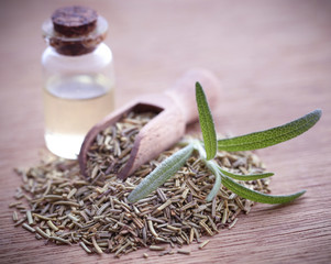 Fresh organic rosemary with essential oil