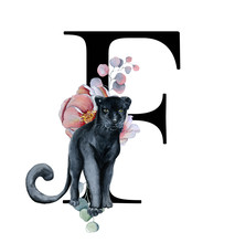  Floral Watercolor Alphabet. Monogram Initial Letter F Design With Hand Drawn Peony And Anemone Flower  And Black Panther